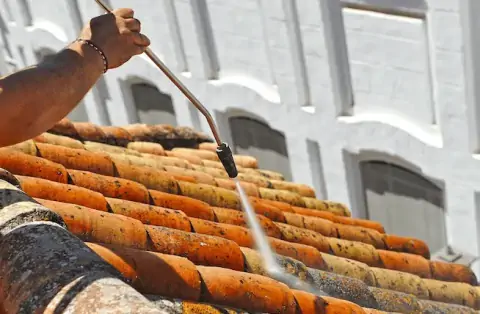 Nettoyage de toitures - Saint-Martin-des-Prés